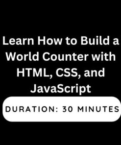 Learn How to Build a World Counter with HTML, CSS, and JavaScript